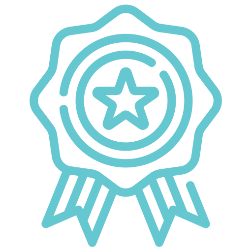 Why Choose Us Icon